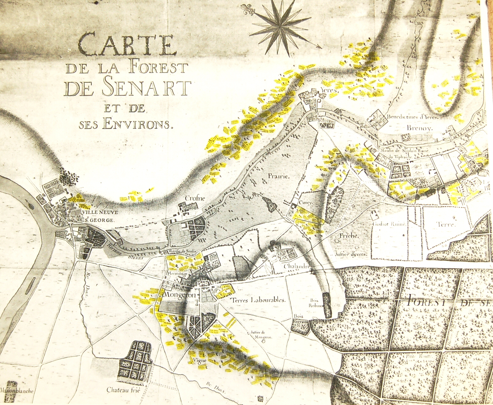 Forest_de_Senart_et_environs