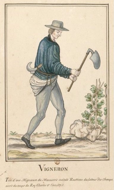 vigneron